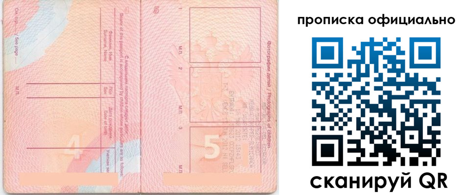 прописка для школы в Данилове
